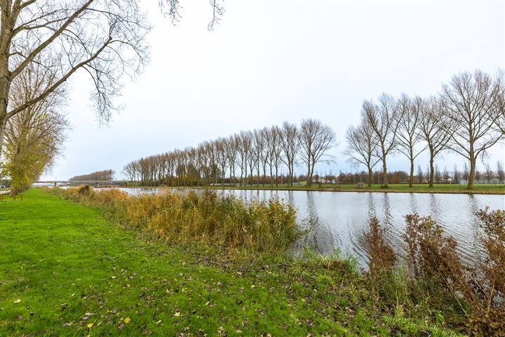 Bekijk foto 3 van Oesterplantsoen 25