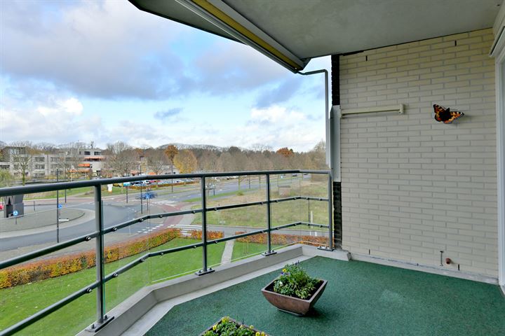 Bekijk foto 10 van Vlinderparkweg 26