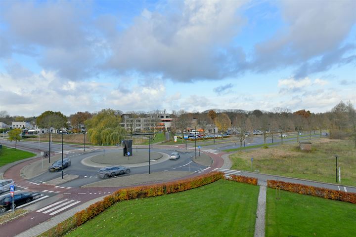 Bekijk foto 11 van Vlinderparkweg 26