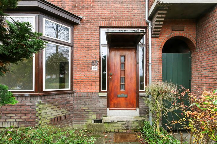 Bekijk foto 2 van Bankastraat 261