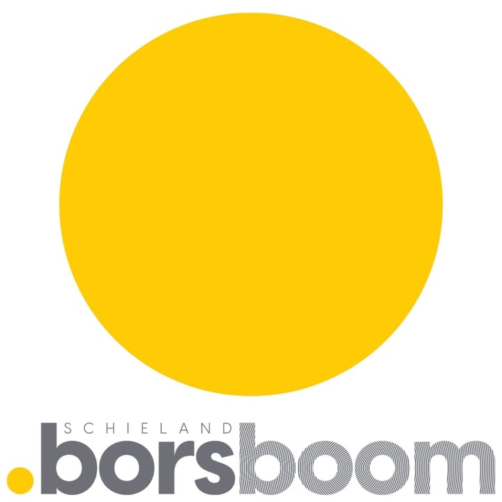 Schieland Borsboom NVM Makelaars Logo