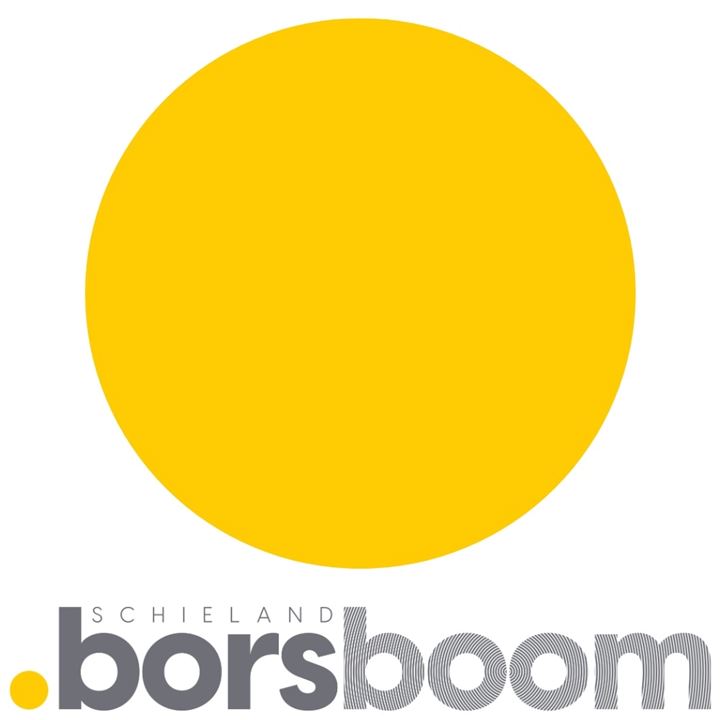 Schieland Borsboom NVM Makelaars logo