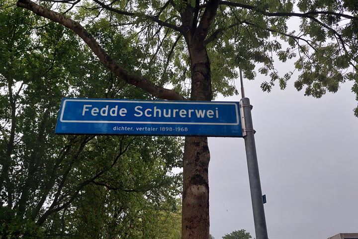 Bekijk foto 15 van Fedde Schurerwei 2-C