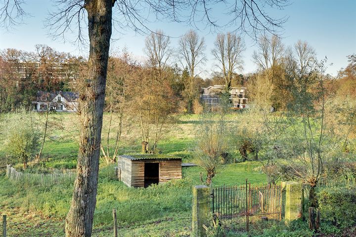 Bekijk foto 50 van Koninginnelaan 10