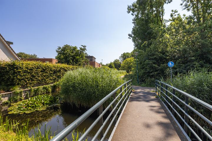 Bekijk foto 40 van Ravelijnstraat 40