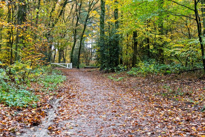 Bekijk foto 35 van van Nispen tot Pannerdenplantsoen 61