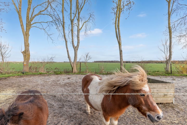 Bekijk foto 3 van Leemringweg 17-1