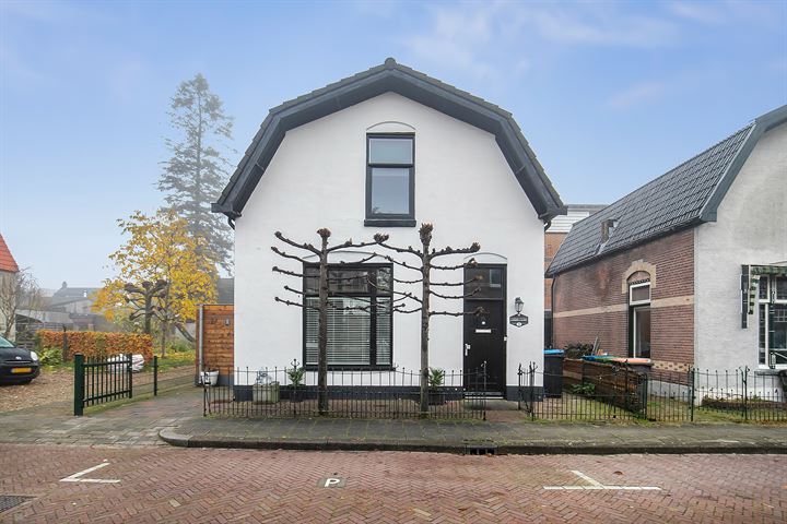 Bekijk foto 27 van Trompstraat 11