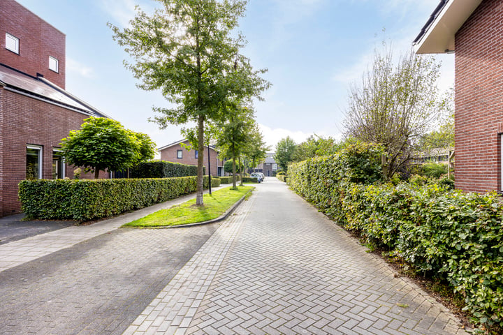 View photo 42 of Ab Hakeboomstraat 14