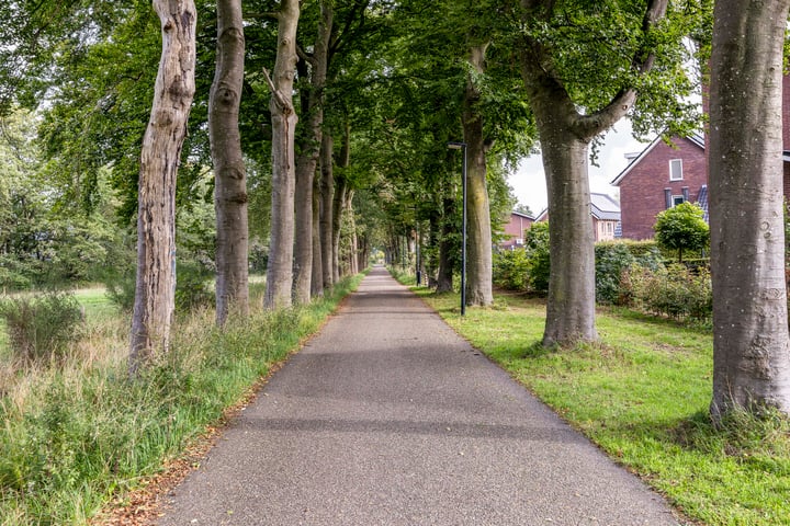 Bekijk foto 46 van Ab Hakeboomstraat 14