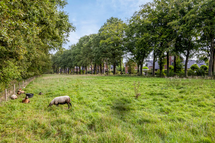 Bekijk foto 47 van Ab Hakeboomstraat 14