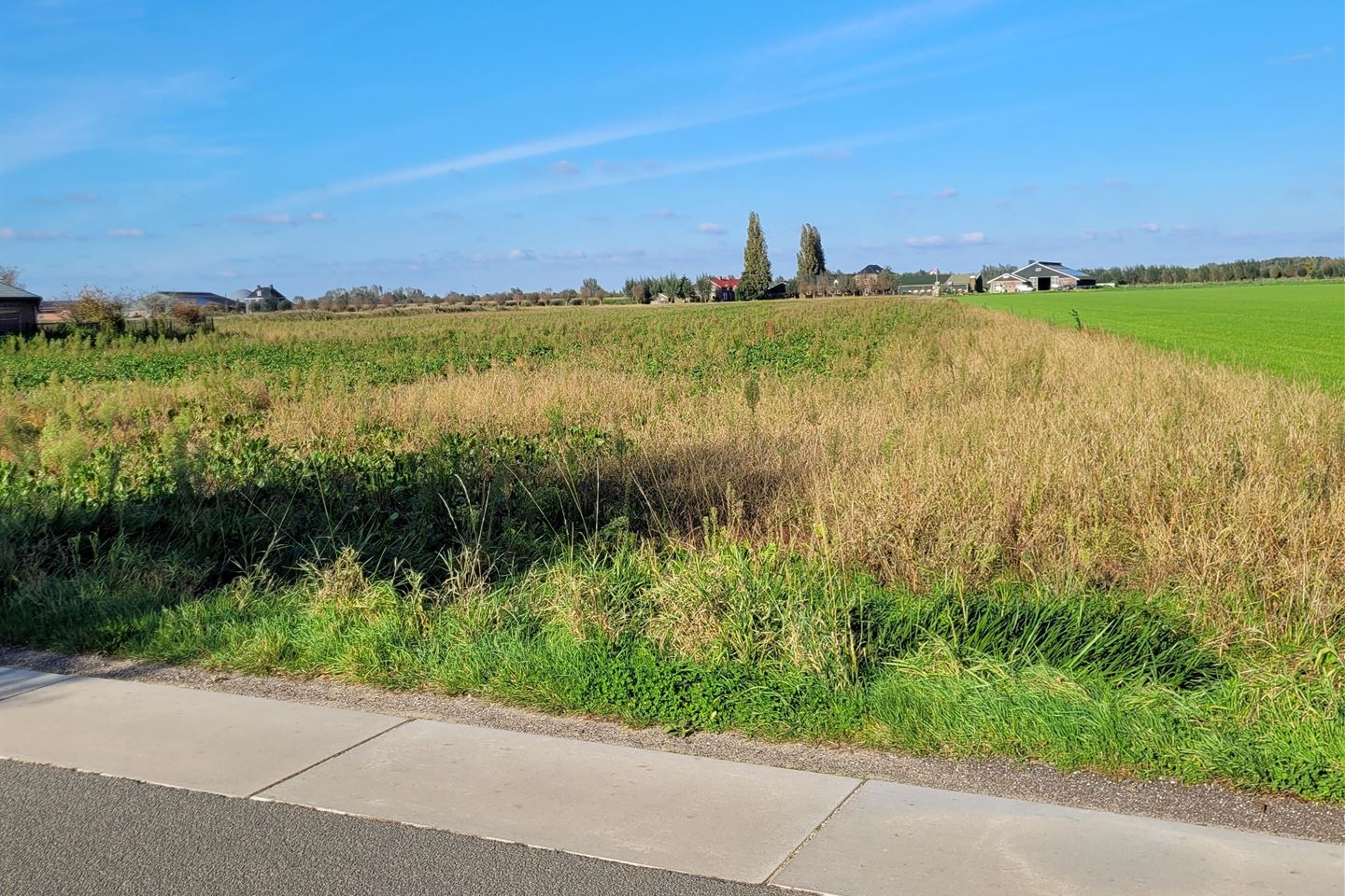 Bekijk foto 3 van Spitsbergerweg