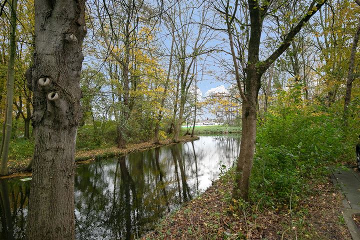 Bekijk foto 36 van Oostervenne 331