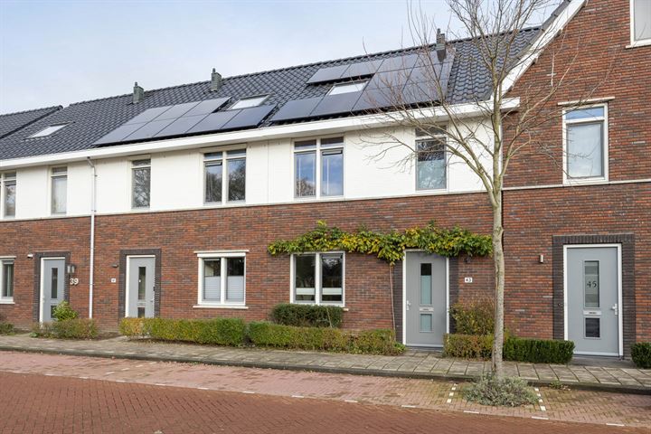 Bekijk foto 1 van Johannes Vermeerstraat 43