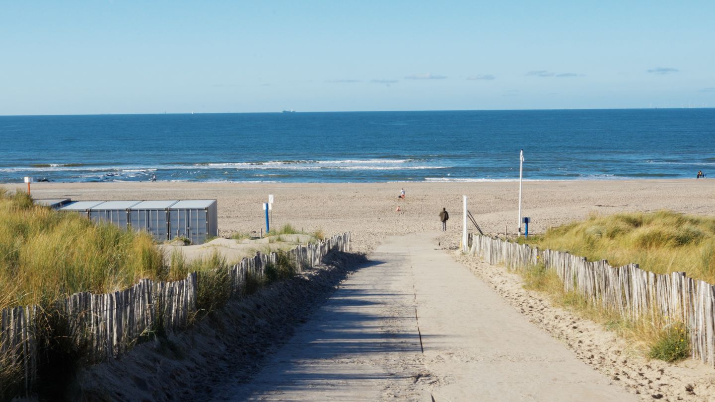 Photo 10 of Verlengde Poelkade 8-B