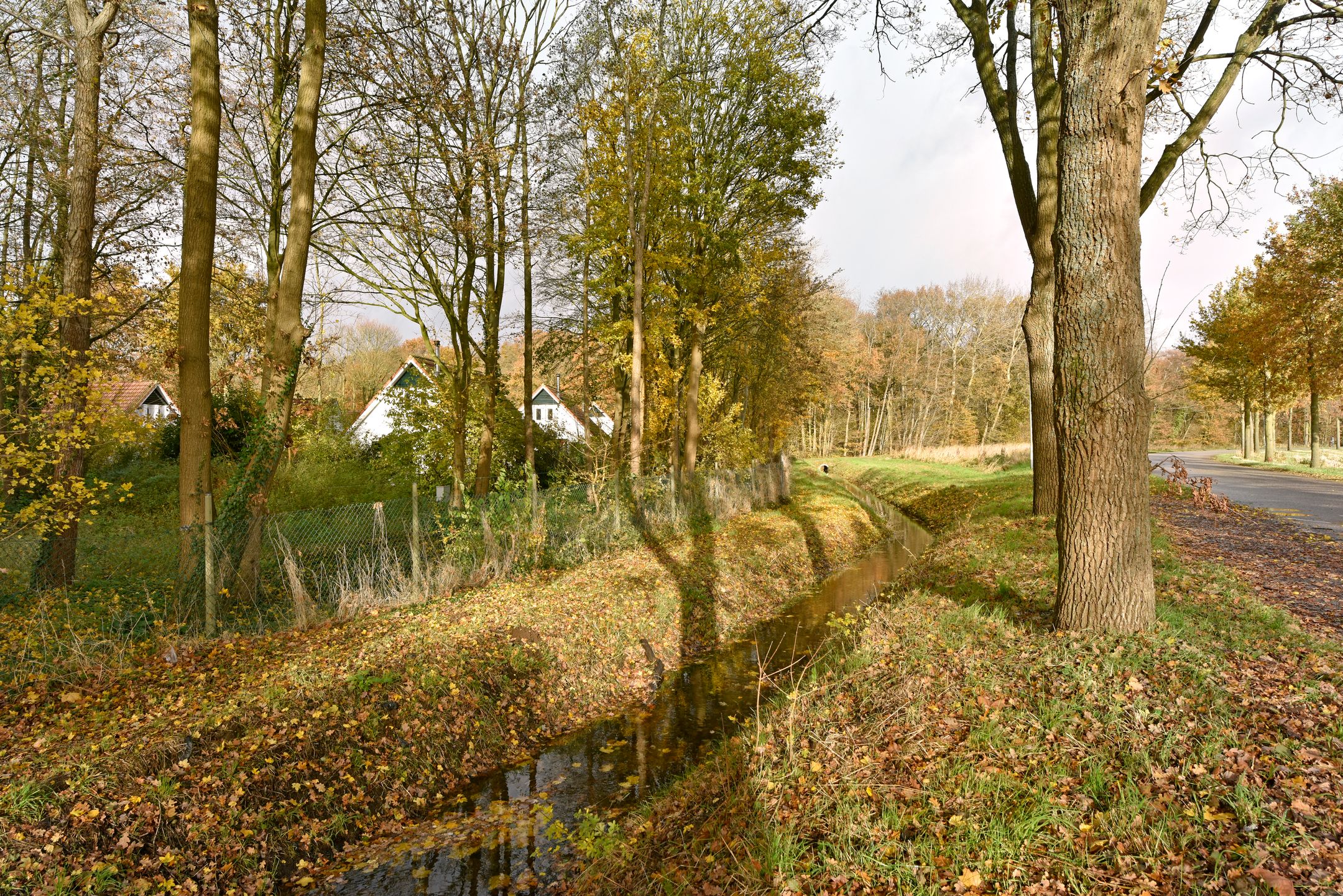 Foto 30 van Zwembadweg 1-106