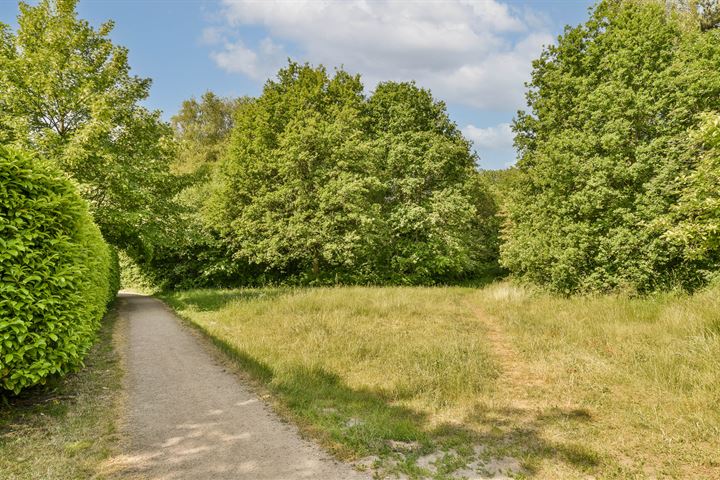 Bekijk foto 42 van Koggewagen 35