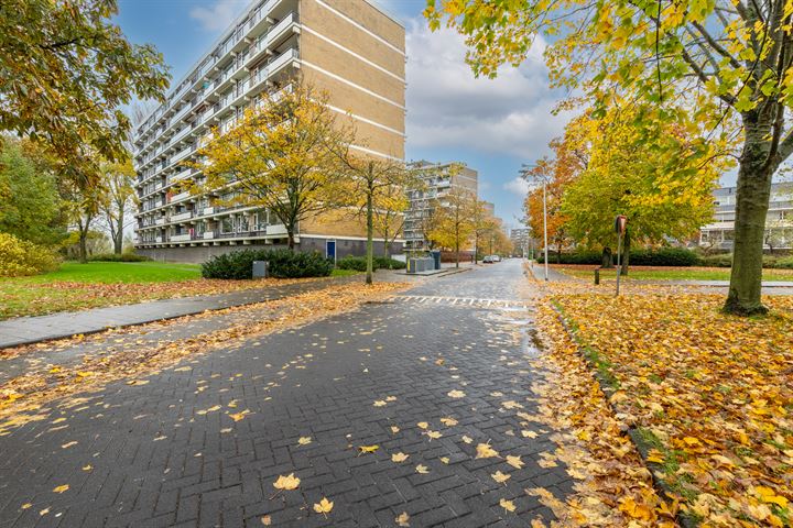 Bekijk foto 7 van Tobias Asserlaan 219