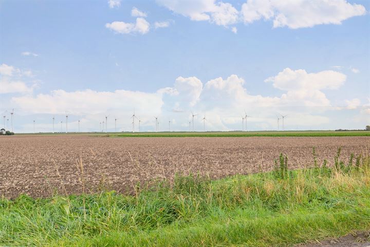 Bekijk foto 50 van Langeweg 23-F