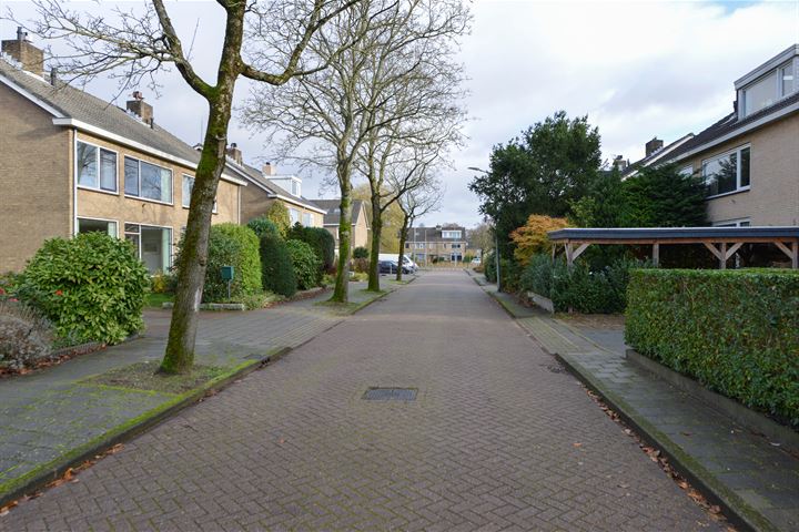 Bekijk foto 22 van Haamstedestraat 6