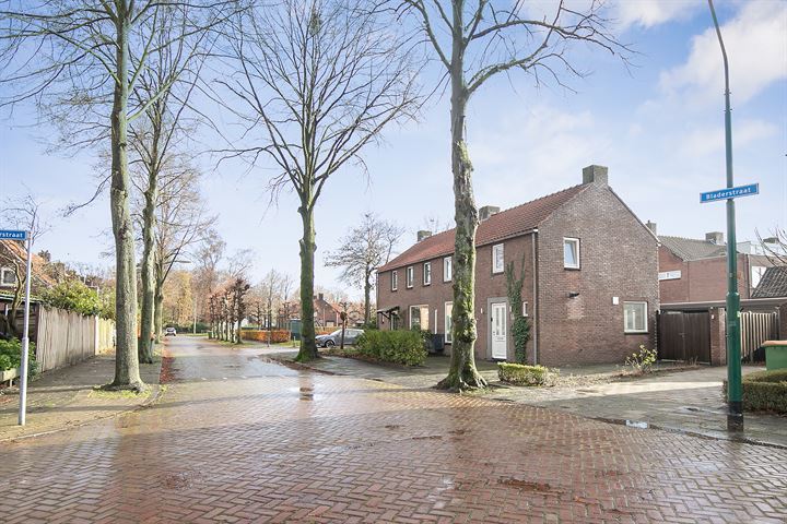 Bekijk foto 38 van Bladerstraat 14