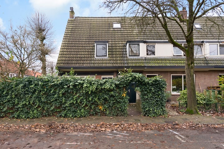 Bekijk foto 46 van Backerstraat 2