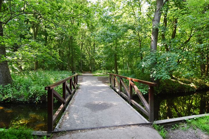 Bekijk foto 28 van Muurbloemweg 101