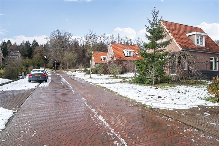 Bekijk foto 3 van Linthorst Homanstraat 5