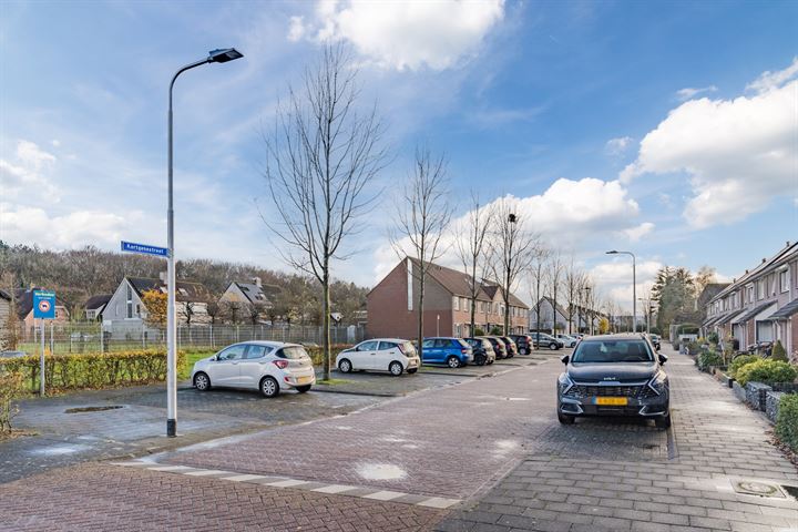 Bekijk foto 38 van Kerschotenstraat 4