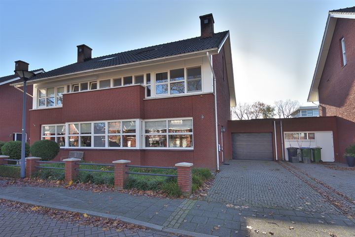 Bekijk foto 1 van Hermelijnvlinder 29