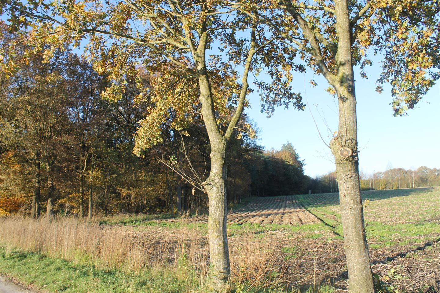 Bekijk foto 3 van Grond nabij Harderwijkerweg 120