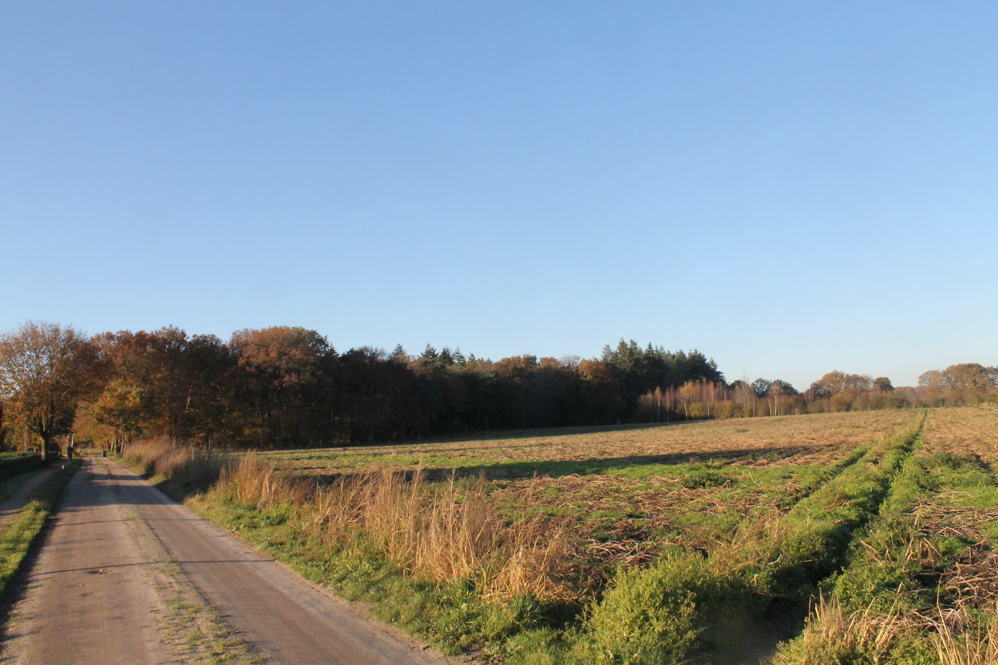 Bekijk foto 1 van Grond nabij Harderwijkerweg 120