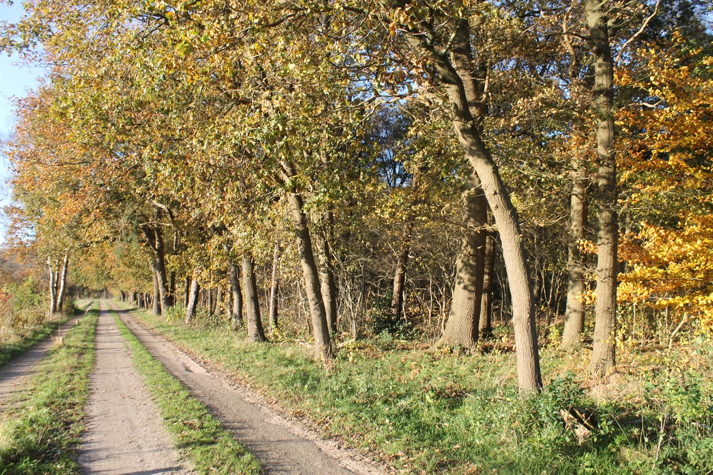 Bekijk foto 5 van Grond nabij Harderwijkerweg 120