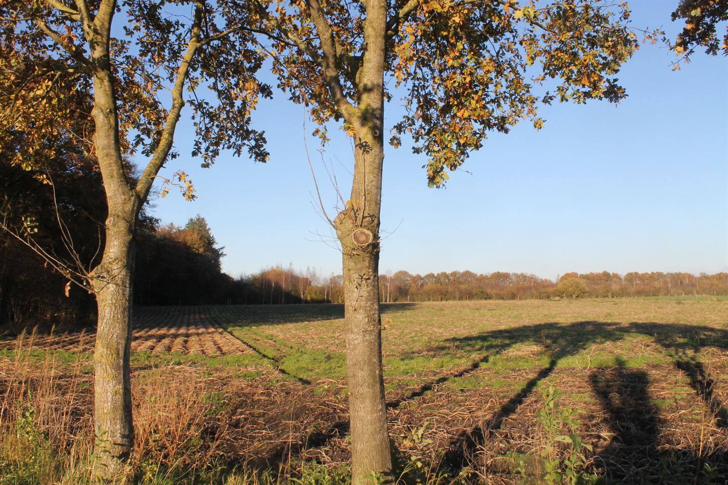 Bekijk foto 4 van Grond nabij Harderwijkerweg 120