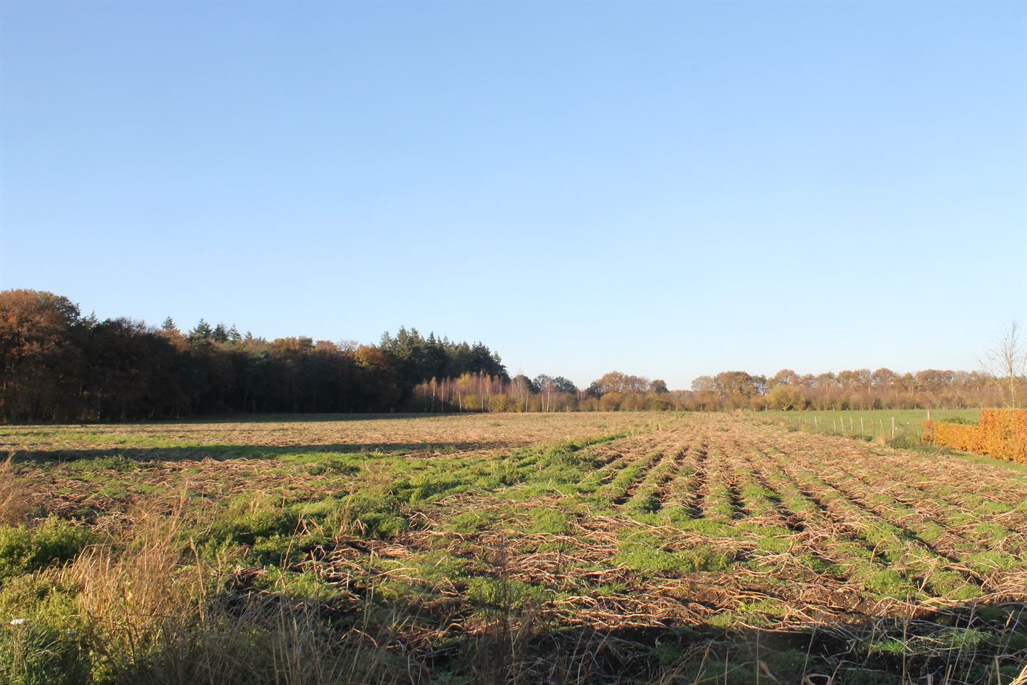 Bekijk foto 2 van Grond nabij Harderwijkerweg 120