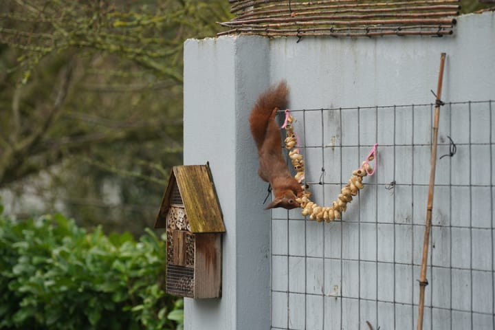 Foto 41 van De Tichelarij 10