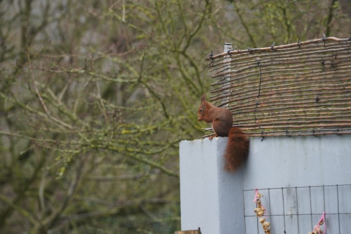 Foto 42 van De Tichelarij 10