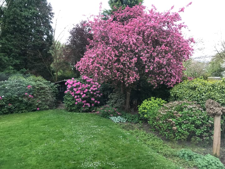 Foto 40 van De Tichelarij 10