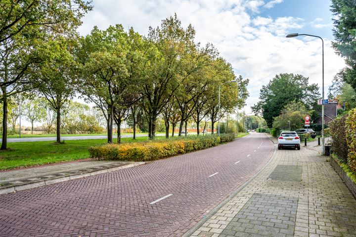 Bekijk foto 58 van Rijksstraatweg 6