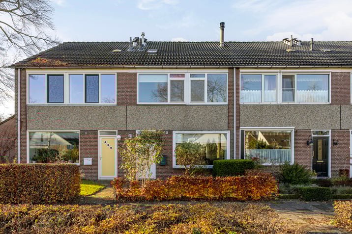 undefined main image