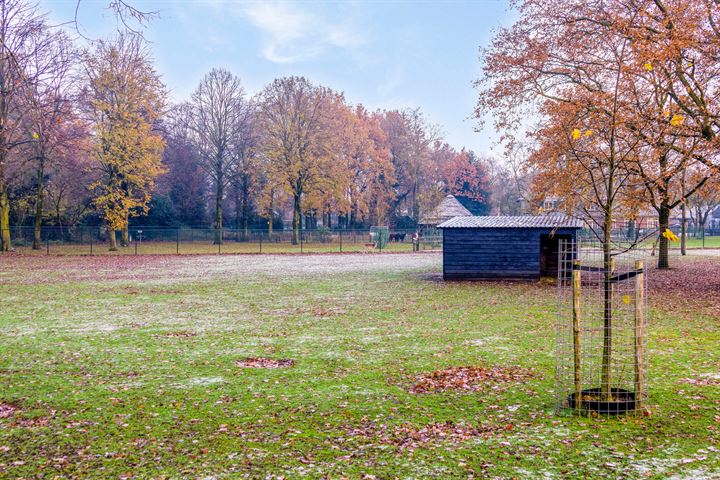 Bekijk foto 35 van Madoeralaan 38