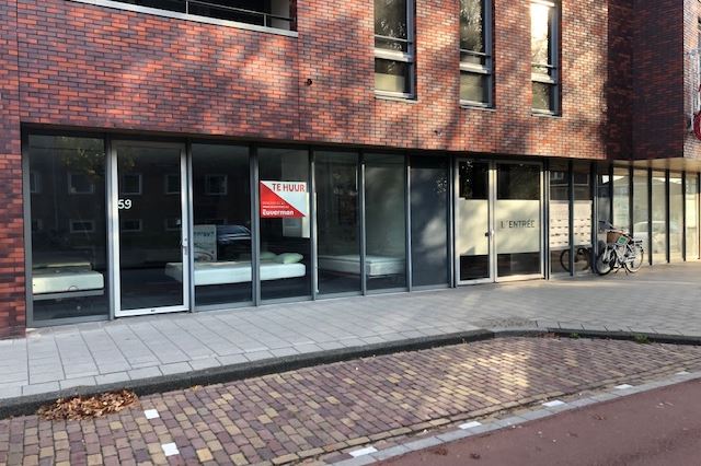 Bekijk foto 1 van Drienerstraat 59