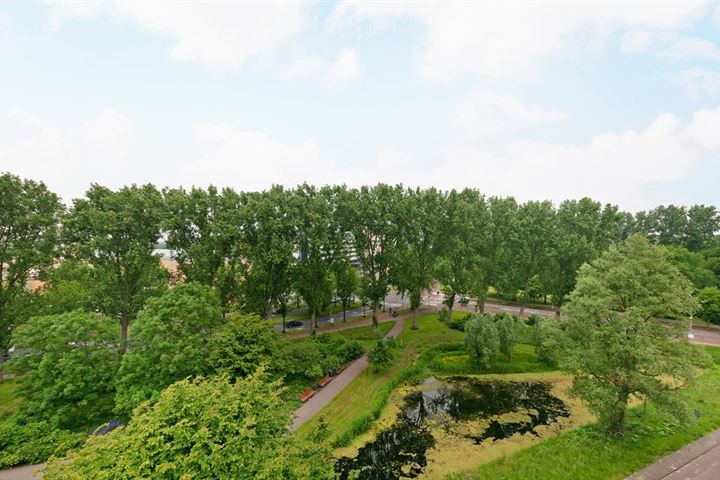 Bekijk foto 18 van Stadhoudersplantsoen 20