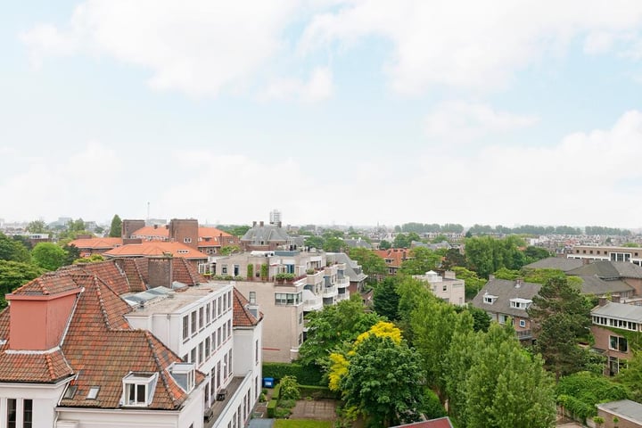 Bekijk foto 19 van Stadhoudersplantsoen 20