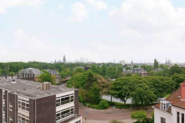 Bekijk foto 20 van Stadhoudersplantsoen 20