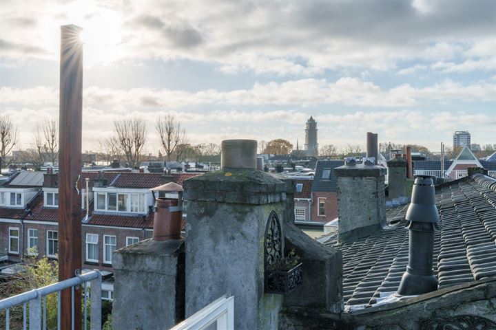 Bekijk foto 39 van Nieuwe Koekoekstraat 133