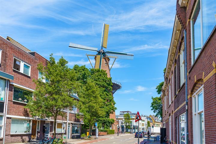 Bekijk foto 47 van Nieuwe Koekoekstraat 133