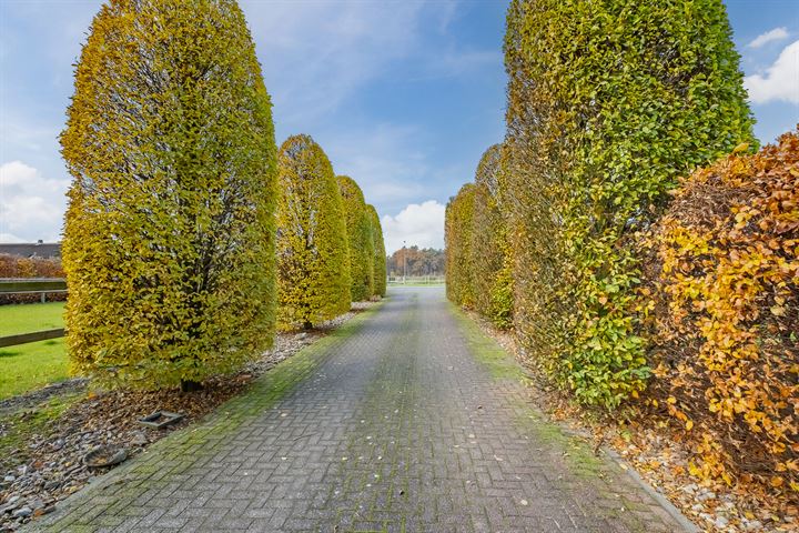 Bekijk foto 42 van Lommelsedijk 23