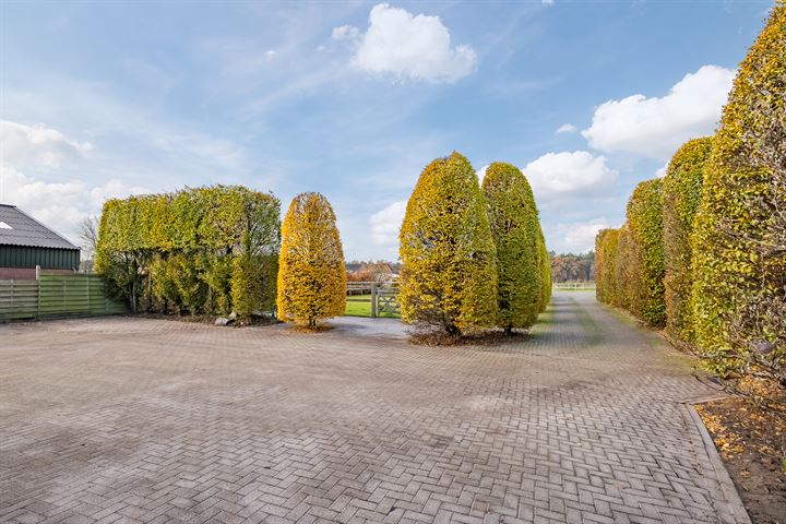 Bekijk foto 43 van Lommelsedijk 23