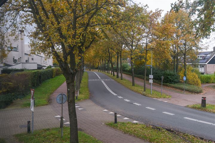 Bekijk foto 3 van Viersloot 69